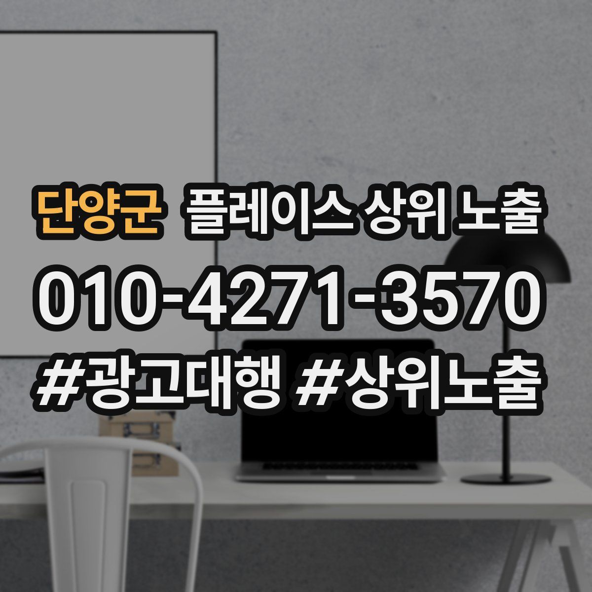 단양군 플레이스 상위 노출