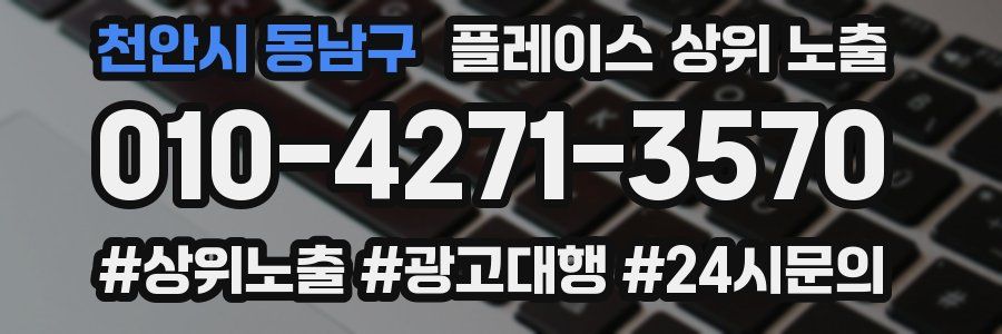 천안시 동남구 플레이스 상위 노출