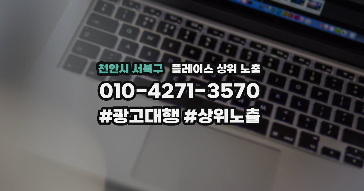 천안시 서북구 플레이스 상위 노출