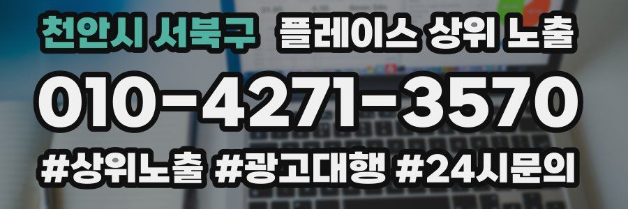 천안시 서북구 플레이스 상위 노출
