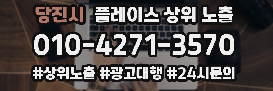 당진시 플레이스 상위 노출