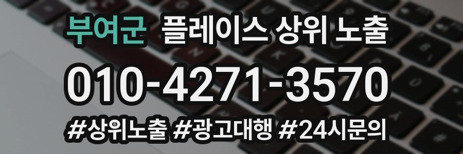 부여군 플레이스 상위 노출
