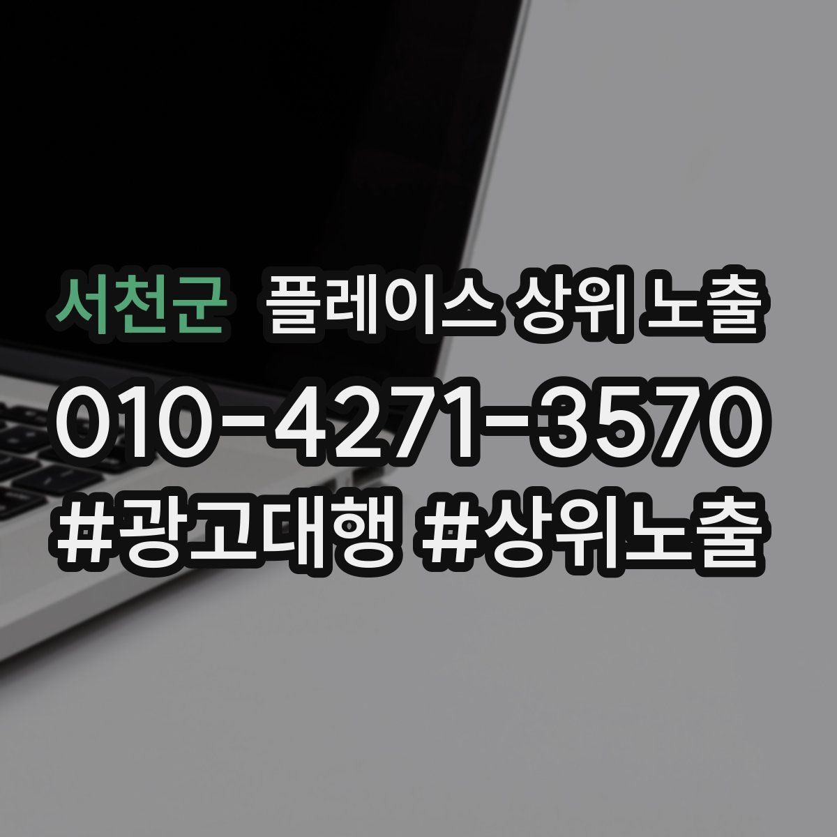 서천군 플레이스 상위 노출
