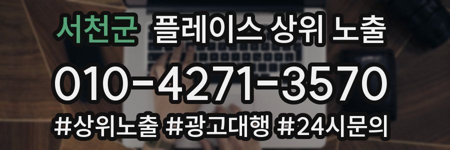 서천군 플레이스 상위 노출