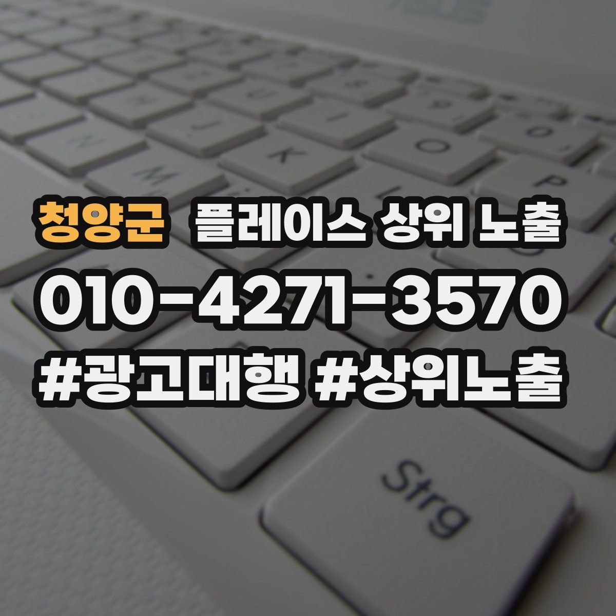청양군 플레이스 상위 노출