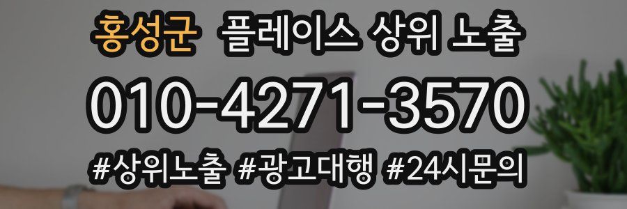 홍성군 플레이스 상위 노출