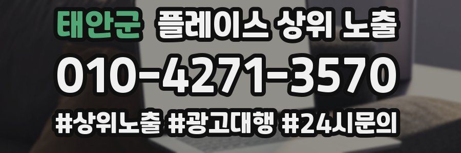태안군 플레이스 상위 노출