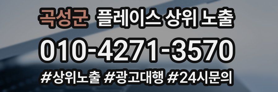 곡성군 플레이스 상위 노출