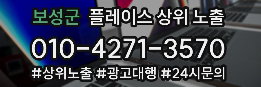 보성군 플레이스 상위 노출