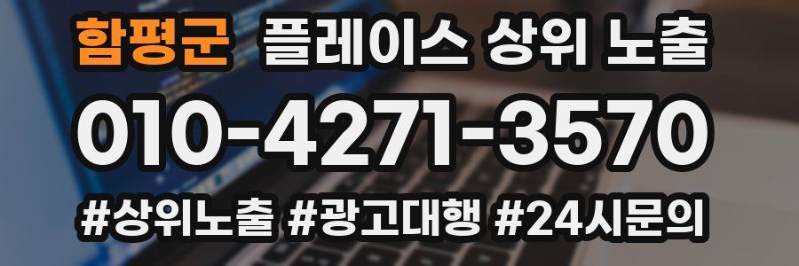 함평군 플레이스 상위 노출