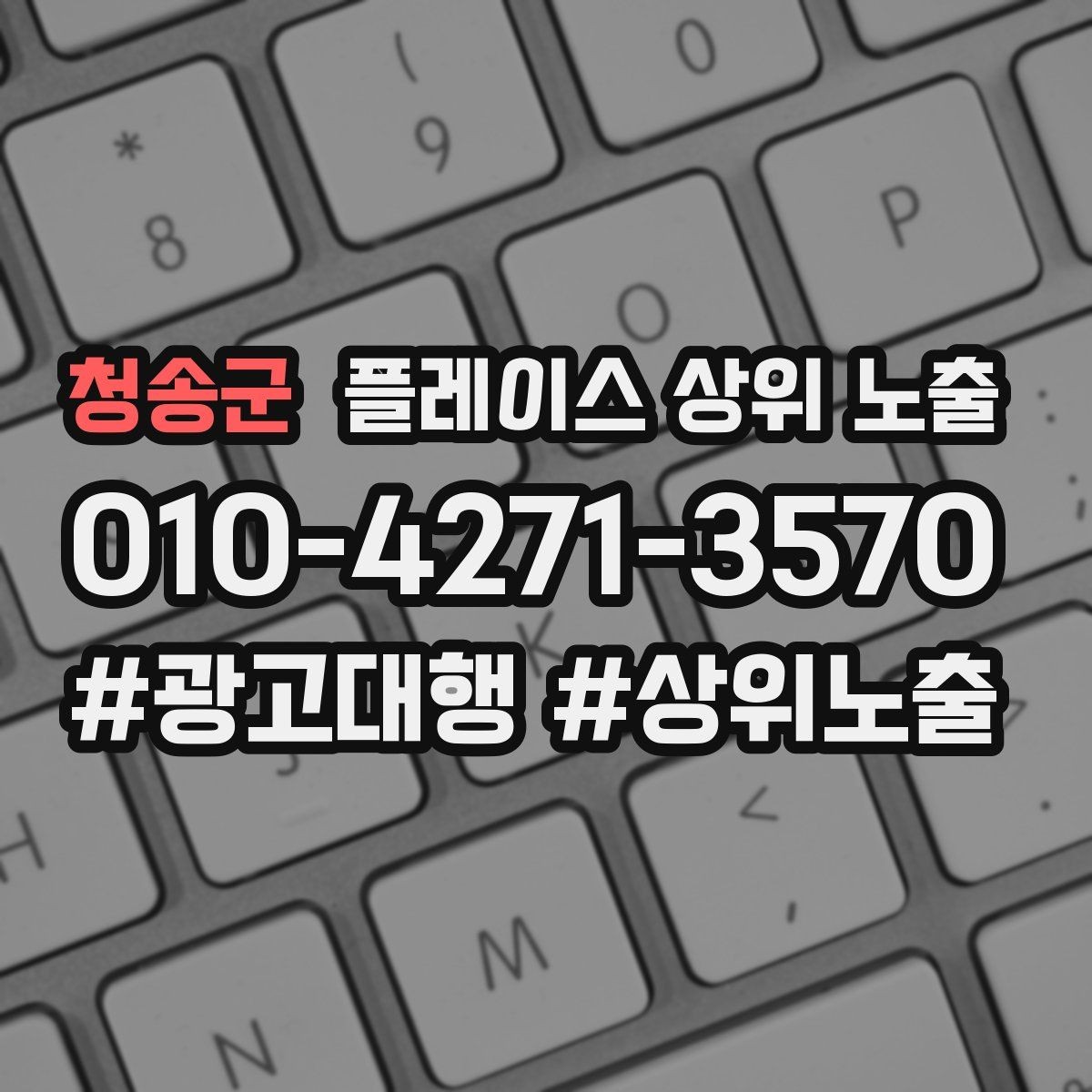 청송군 플레이스 상위 노출 전화 버튼이 잘 먹히는 업종 특징