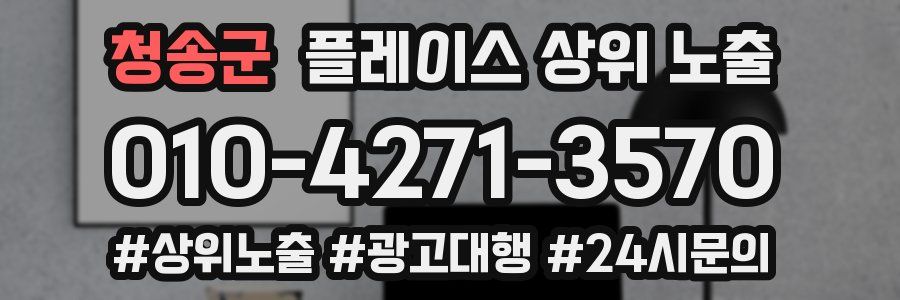 청송군 플레이스 상위 노출