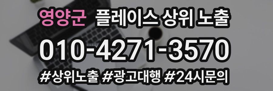 영양군 플레이스 상위 노출