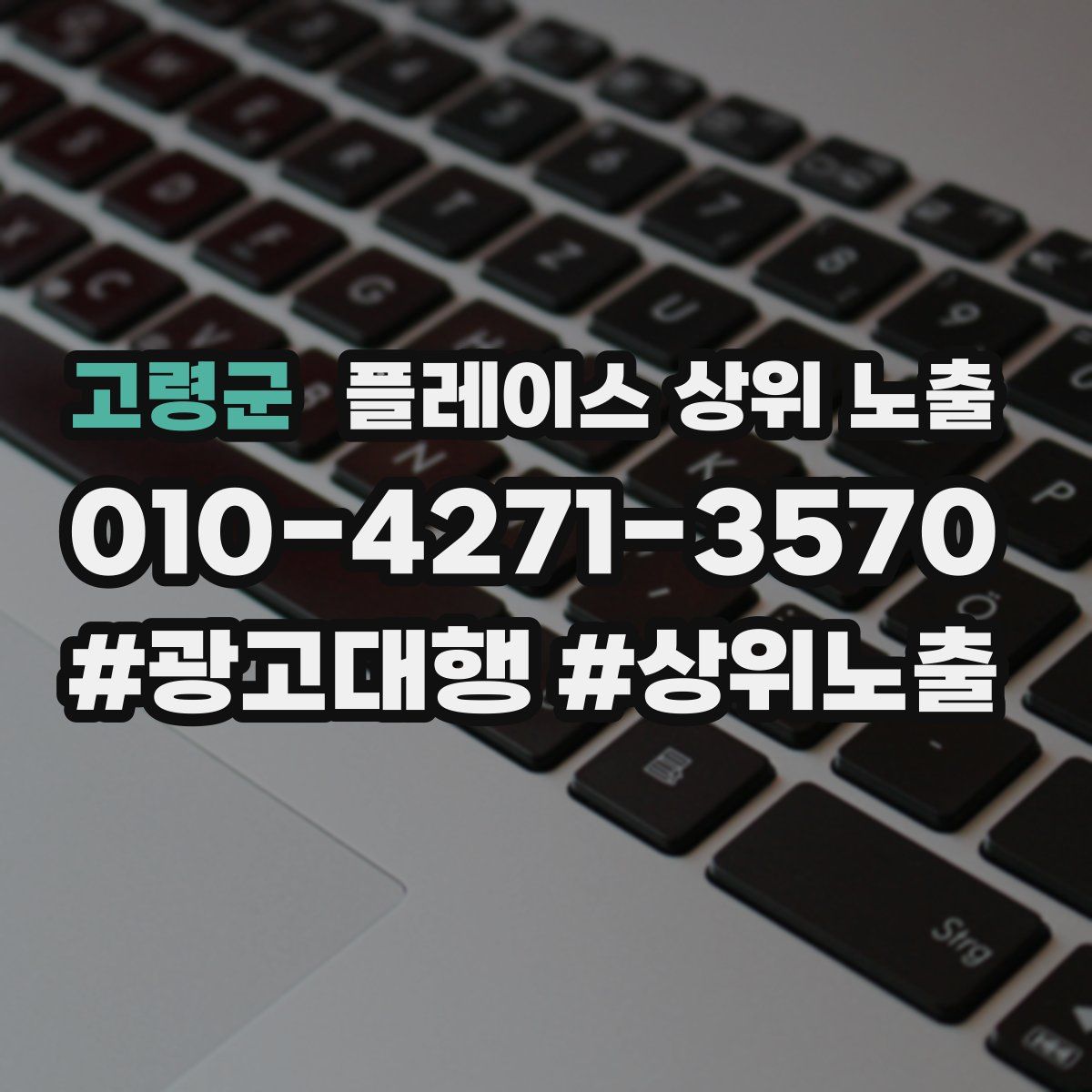 고령군 플레이스 상위 노출