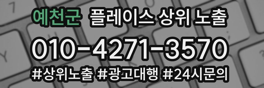 예천군 플레이스 상위 노출