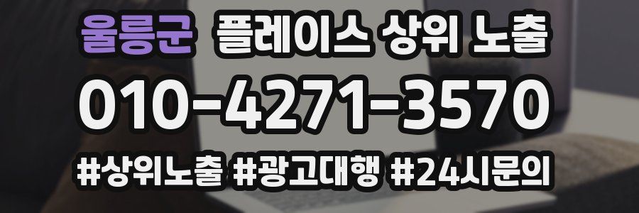 울릉군 플레이스 상위 노출