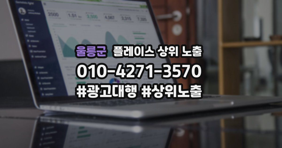 울릉군 플레이스 상위 노출
