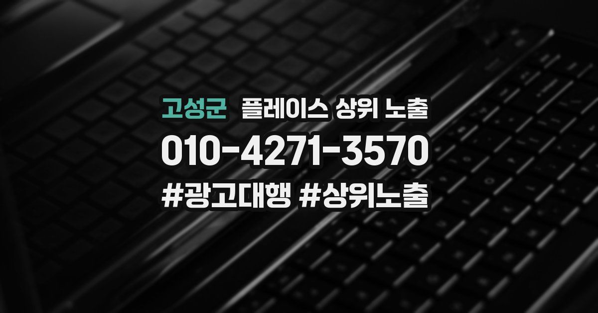 고성군 플레이스 상위 노출