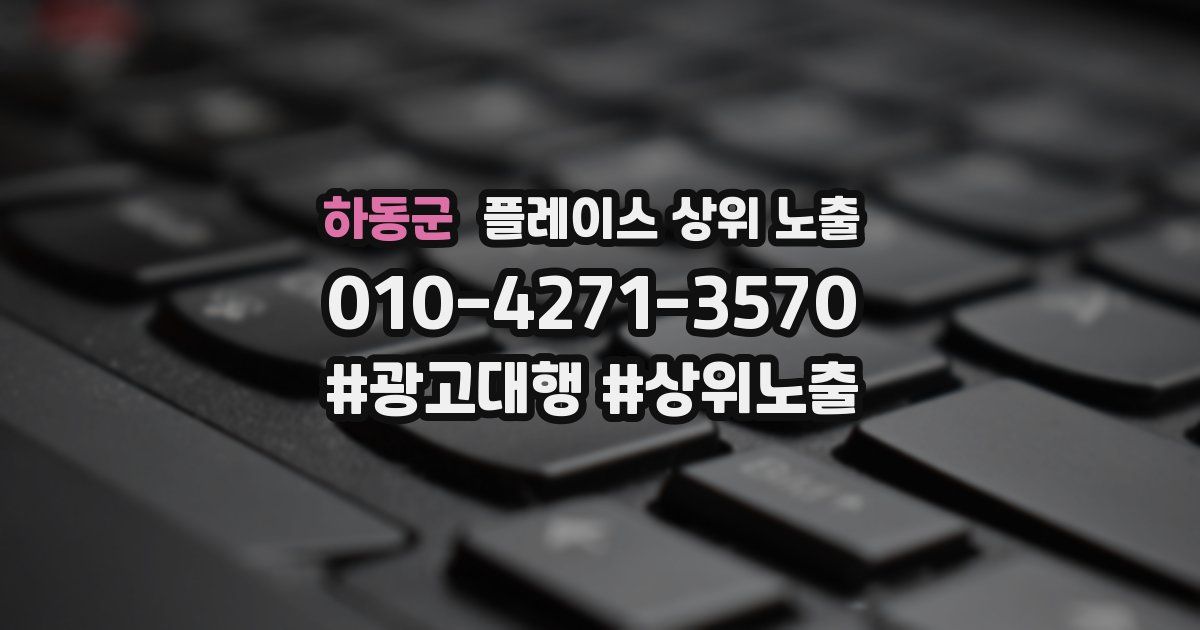 하동군 플레이스 상위 노출
