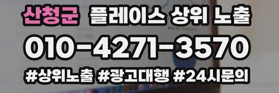 산청군 플레이스 상위 노출