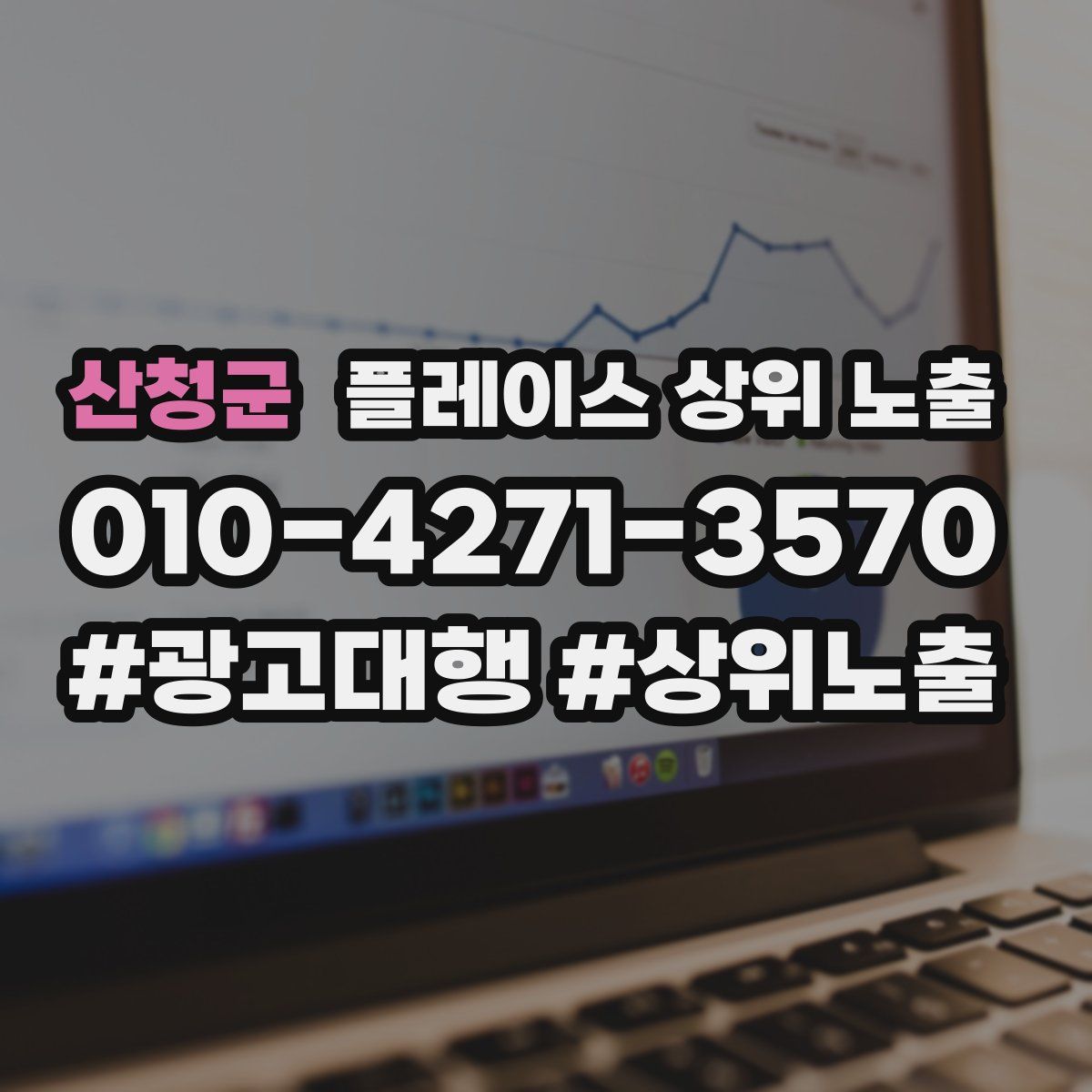 산청군 플레이스 상위 노출