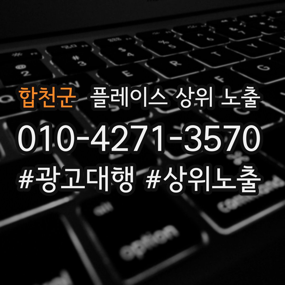 합천군 플레이스 상위 노출