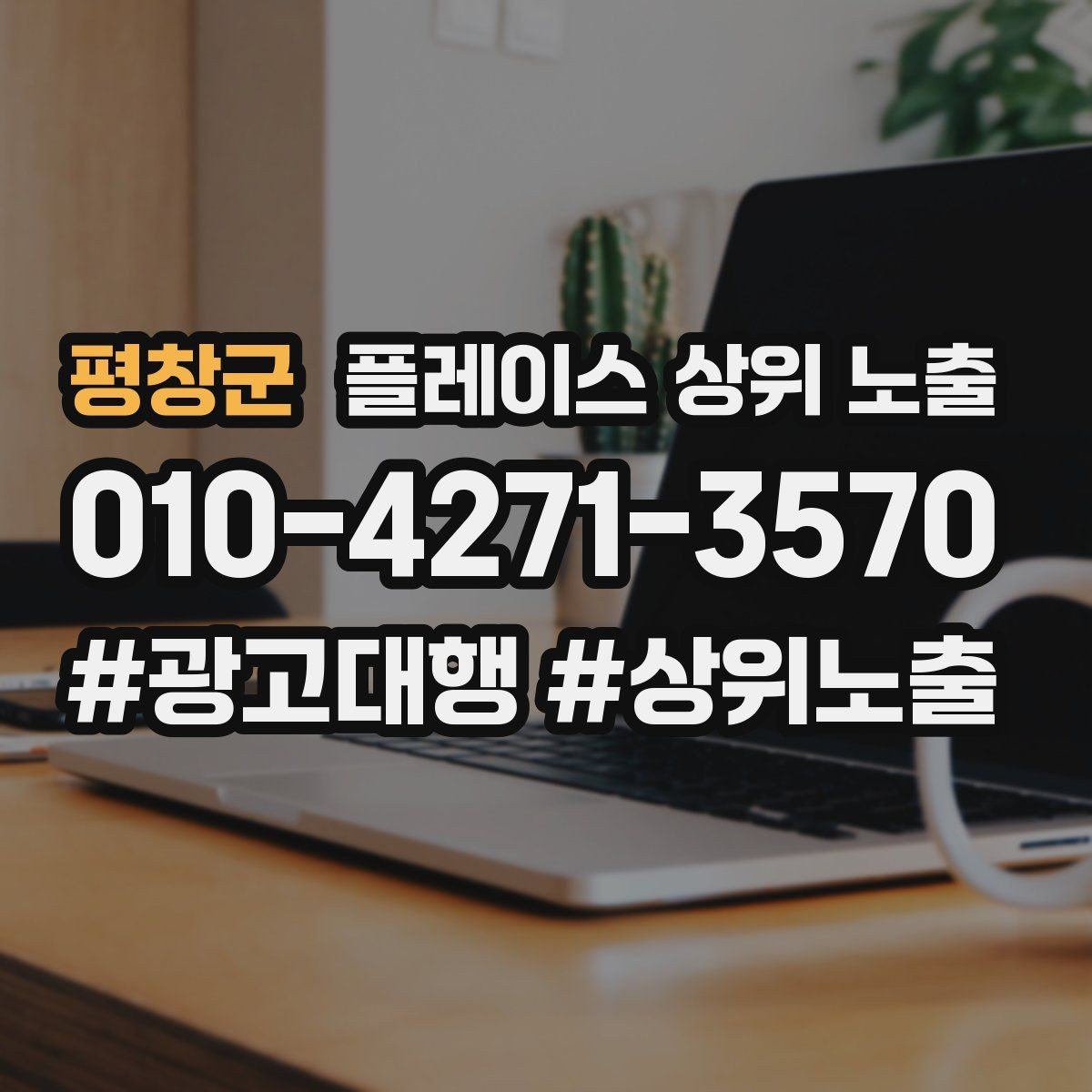 평창군 플레이스 상위 노출 단골 혜택을 과하지 않게 만드는 기준