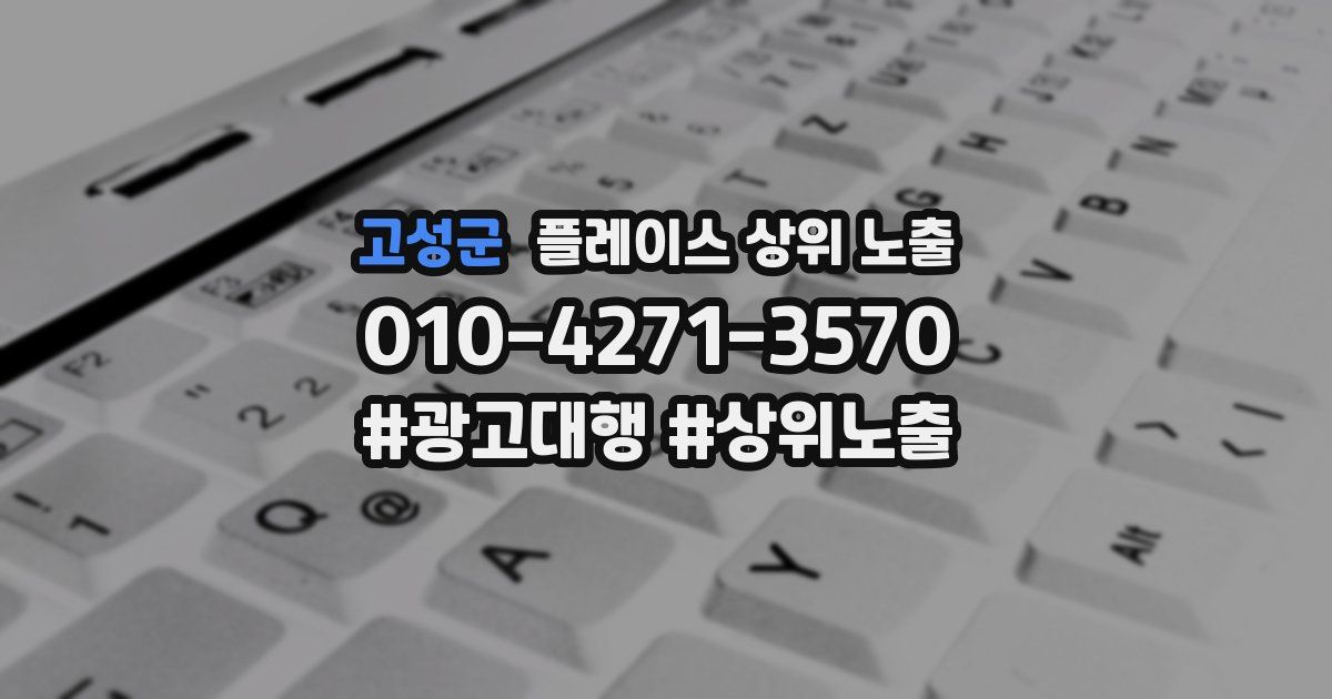 고성군 플레이스 상위 노출