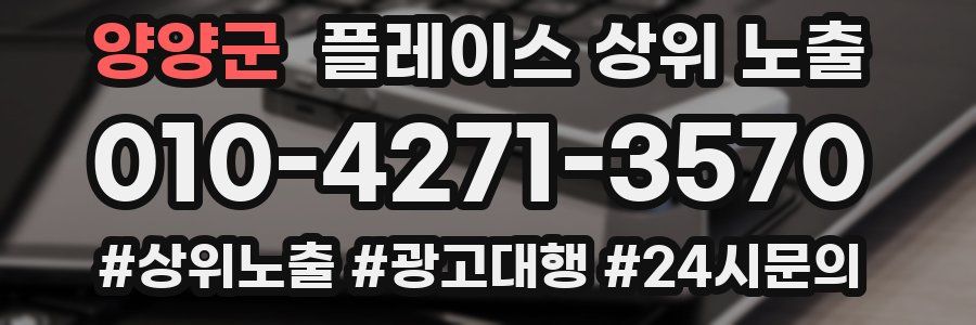 양양군 플레이스 상위 노출