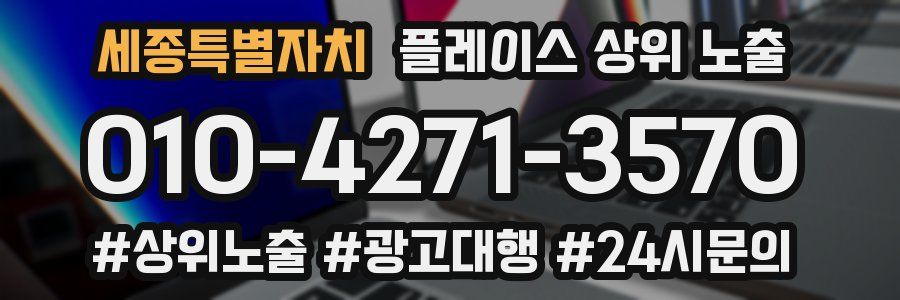 세종특별자치 플레이스 상위 노출