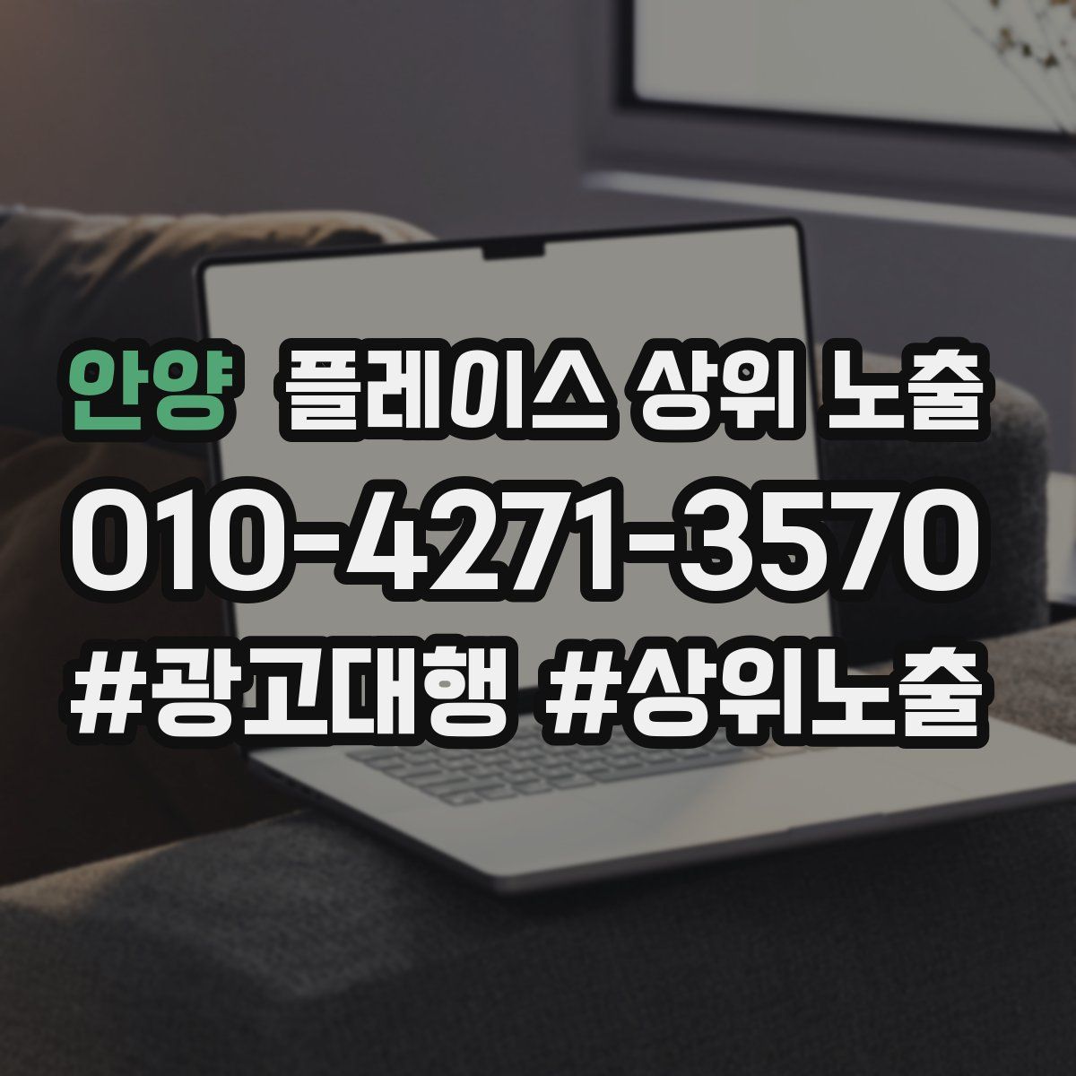 안양 플레이스 상위 노출