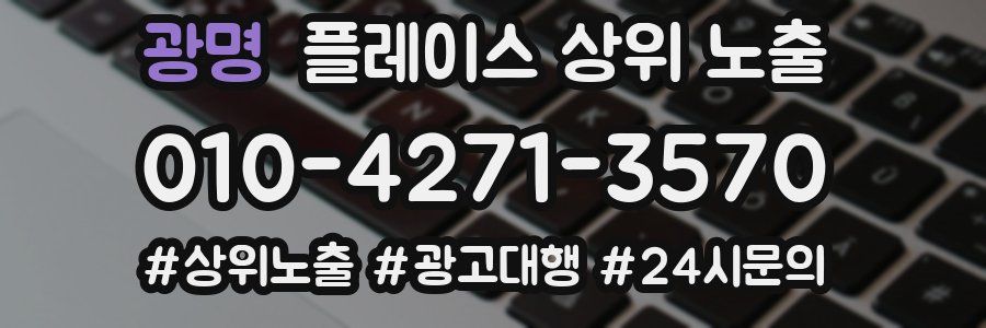 광명 플레이스 상위 노출