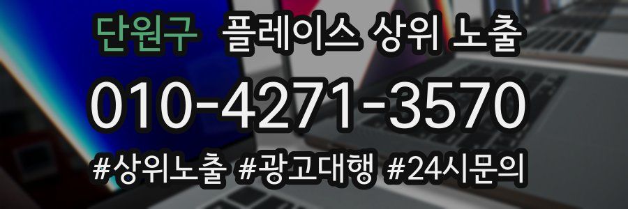 단원구 플레이스 상위 노출
