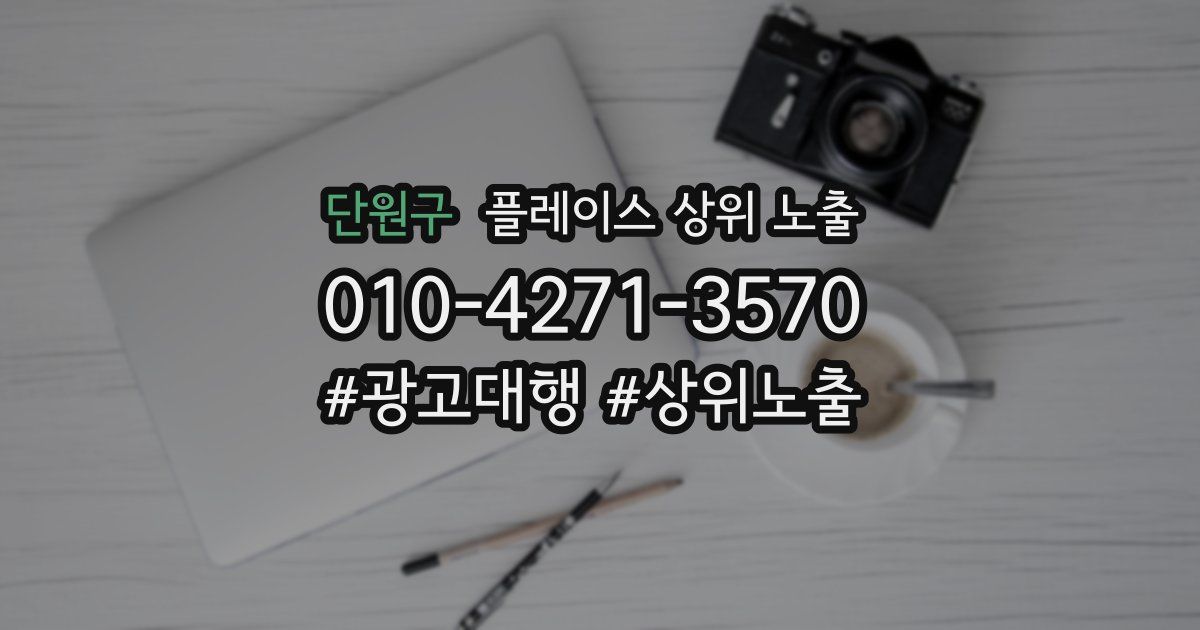 단원구 플레이스 상위 노출