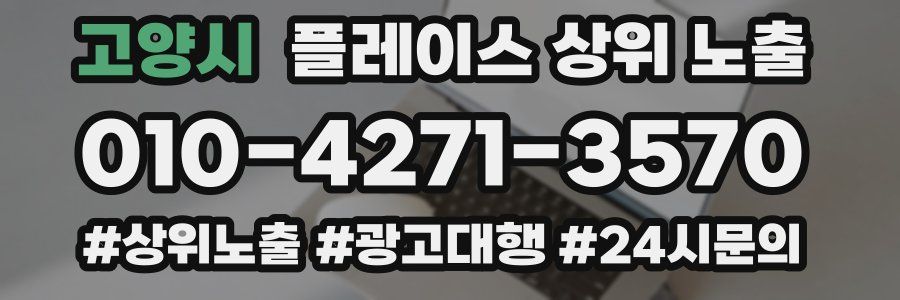 고양시 플레이스 상위 노출
