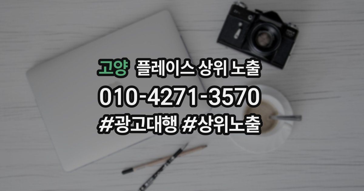 고양 플레이스 상위 노출