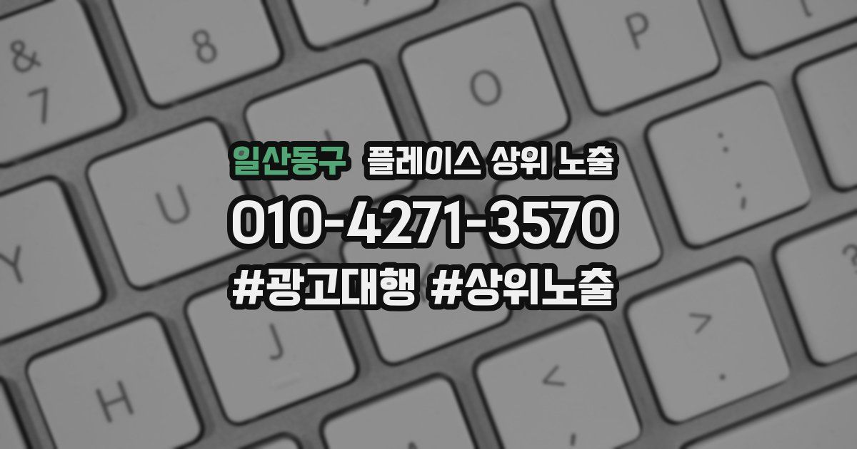 일산동구 플레이스 상위 노출