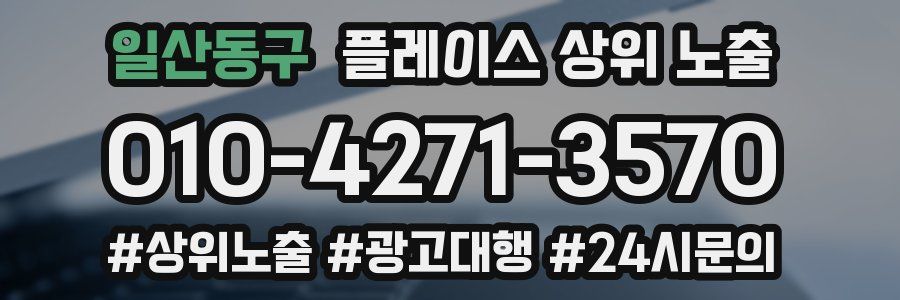 일산동구 플레이스 상위 노출