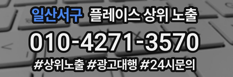 일산서구 플레이스 상위 노출
