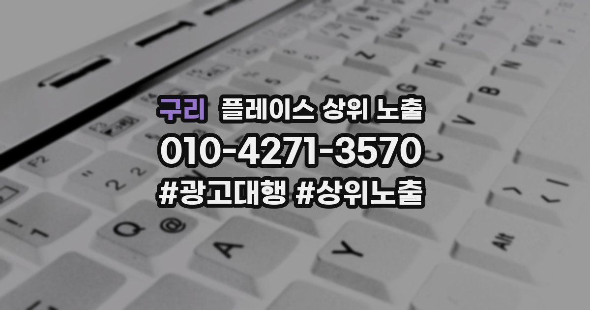 구리 플레이스 상위 노출