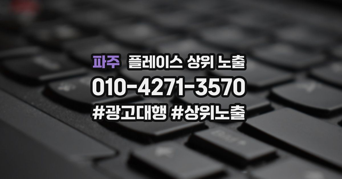 파주 플레이스 상위 노출