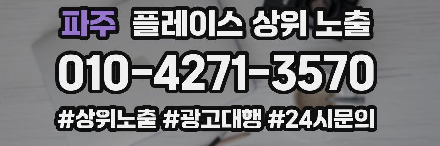 파주 플레이스 상위 노출