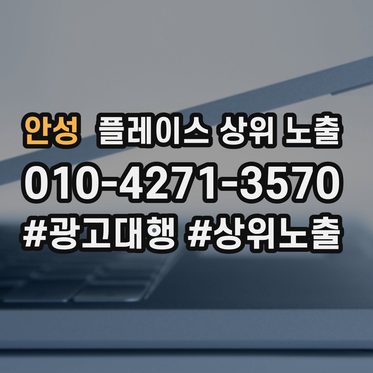 안성 플레이스 상위 노출