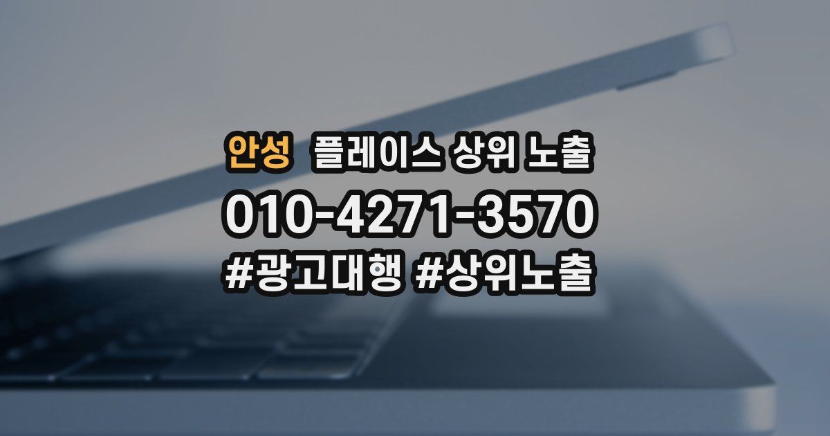 안성 플레이스 상위 노출
