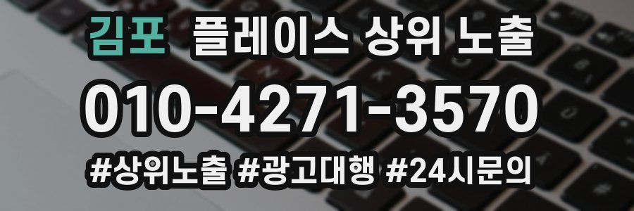 김포 플레이스 상위 노출