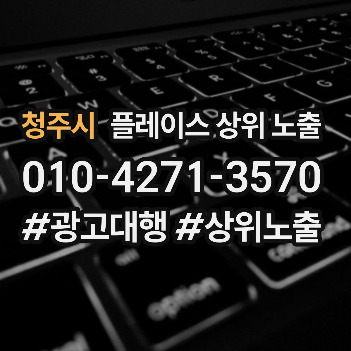 청주시 플레이스 상위 노출 전화 버튼이 잘 먹히는 업종 특징