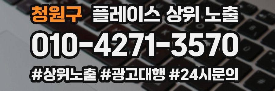 청원구 플레이스 상위 노출