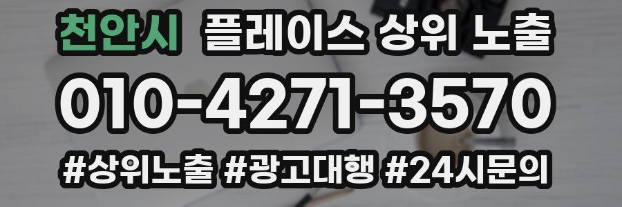 천안시 플레이스 상위 노출
