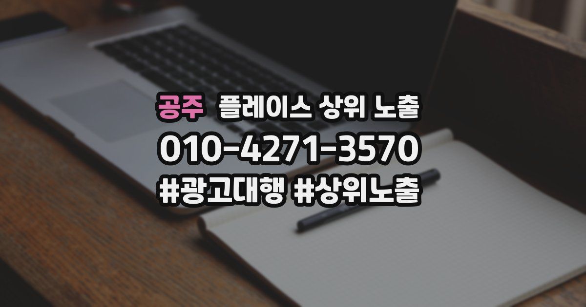 공주 플레이스 상위 노출