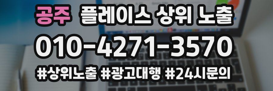 공주 플레이스 상위 노출